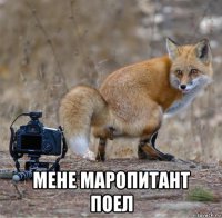  мене маропитант поел
