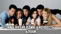  ваш кот не один, у него есть блохи