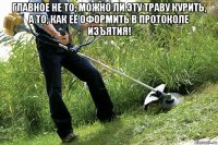 главное не то, можно ли эту траву курить, а то, как её оформить в протоколе изъятия! 
