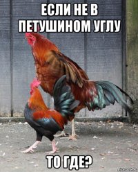 если не в петушином углу то где?