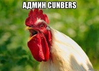 админ cunbers 