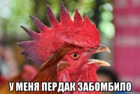  у меня пердак забомбило