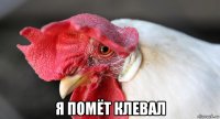 я помёт клевал