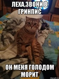 леха,звони в гринпис он меня голодом морит