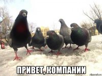  привет, компании