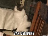  van delivery