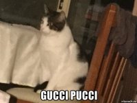  gucci pucci