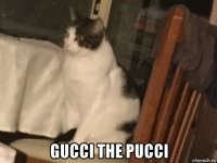  gucci the pucci