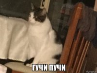  гучи пучи