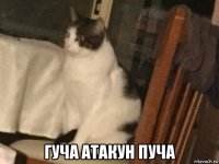  гуча атакун пуча