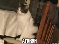  атакун