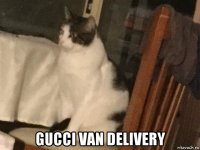 gucci van delivery