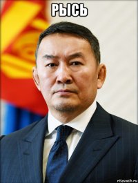 рысь 
