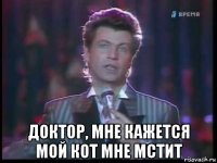  доктор, мне кажется мой кот мне мстит