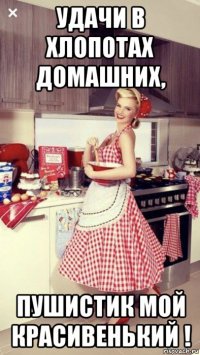 удачи в хлопотах домашних, пушистик мой красивенький !