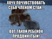 хочу почувствовать себя членом стаи... вот такой ребенок продвинутый!