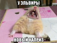 у эльвиры новый каприз