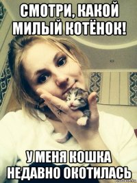 смотри, какой милый котёнок! у меня кошка недавно окотилась