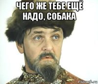 чего же тебе ещё надо, собака 