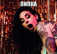 пипка 