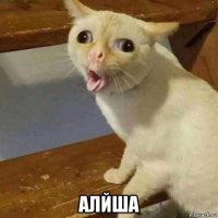  алйша