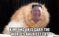  kim jong un is garfi the world's angriest cat