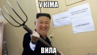 у кіма вила