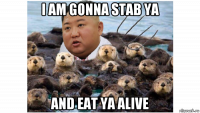 i am gonna stab ya and eat ya alive