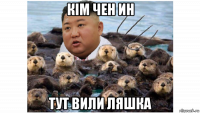 кім чен ин тут вили ляшка