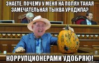 знаете, почему у меня на полях такая замечательная тыква уродила? коррупционерами удобряю!