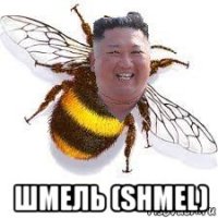  шмель (shmel)