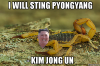i will sting pyongyang - kim jong un
