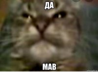 да мав