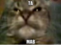 та мав