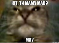 кіт, ти маму мав? мяу