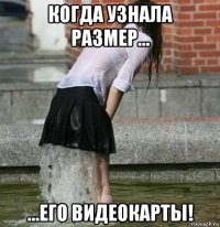 когда узнала размер... ...его видеокарты!
