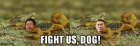  fight us, dog!