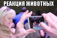 реакция животных 