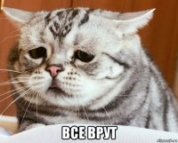  все врут