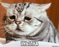  унылка