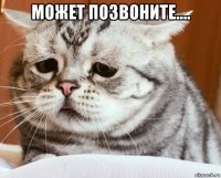 может позвоните.... 