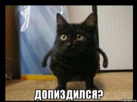  допиздился?