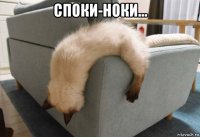 споки-ноки... 