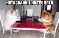 натасканые на троллей 