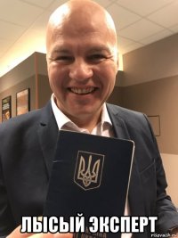  лысый эксперт