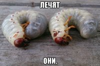 лечят они.