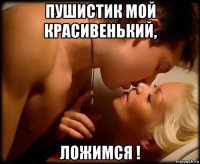 пушистик мой красивенький, ложимся !