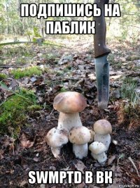 подпишись на паблик swmptd в вк