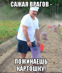 сажая врагов - пожинаешь картошку!