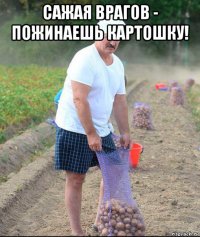 сажая врагов - пожинаешь картошку! 